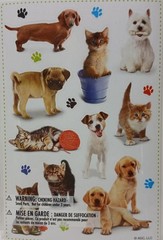 Cat And Dog Stickers By Kid Squad Animal Lover Stickers For Veterinarians
