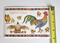 Rare Collectible PSX Designs ROOSTER & CHICKENS (SR6451) 4×6 Sticker Module
