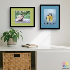 Photo Mat Board 11×14 for 8×10 Pictures – 4-ply Acid Free Mixed Color Mats