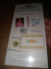 Mrs Grossmans Vellum stickers Color Blocks Squares Primary Colors 3 sheets new