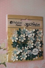 Mini Daisy Petite TEAL Mix – 40 Paper 20-22mm Pearl Centre Penny Lane Petaloo XC