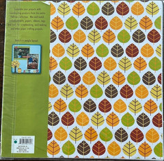 Scrapbooking paper & die-cut sheets fall fun packs 12″x 12″ apples 12 pages lot