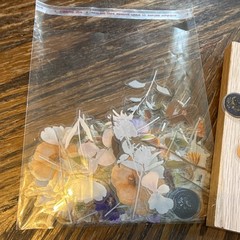 Dried Flowers Sticker Pack, Multicolor Flowers & Plants/Variety of Colors