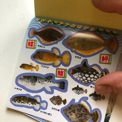 FISH Japanese Stickers book 274 stickers Shogakkan NEO Book Series