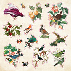 The Sticker Book of Curiosities (Over 750 Stickers) (Sticker Books)