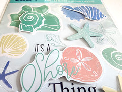 Seashells Starfish Shore Thing 3D Scrapbook Stickers Crafter’s Square 5×9