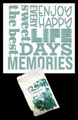 CTMH Embellishments Acrylic TITLES TEAL Z7027 New Acrylic Letter Tiles