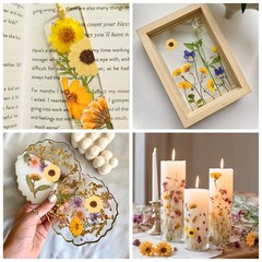 36 Pcs Yellow Dried Pressed Flowers for Resin Crafts – Zinnia, Calendula, Mar…