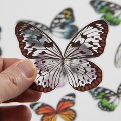 Tim Holtz Idea-Ology Transparent Acetate Wings TH93785 Angel Butterfly 72 pcs.