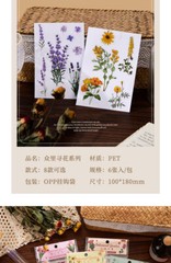 6Pcs Natural Journal Stickers PET Sticker Paper Scrapbooking Material Scrapbook