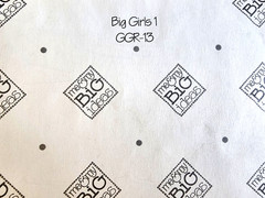 MAMBI Vintage 2001 Clear Stickers Big Girls 1 Scrapbook Sheet 12″ Rare HTF GGR-1