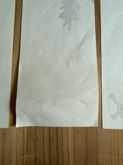 Hallmark Barbie 12 Dancing Princesses Stickers 6 Sheets, 2 Missing Stickers