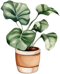 Plant Themed: Scrapbooking PNG Sticker Printables DIY Diary Planner Decor Fun