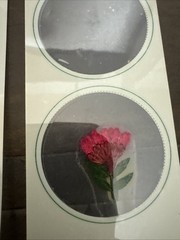 Lot Of 8 REAL Pressed Flowers Stickers Vintage Victorias Garden Scrapbook-22