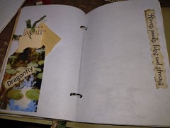 Pond Life Junk Journal Scrapbook USA Seller