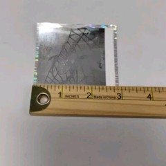 Vtg Scholastic Holographic Sticker Tarantula Spider Web Property Of Book Plate