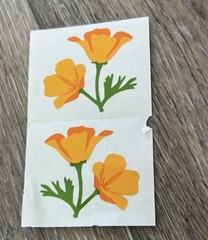 Mrs. Grossman’s Stickers Flowers Orange Poppies 1/2 Sheet