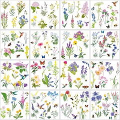 Wildflower Rub on Transfers for Furniture, Scrapbook