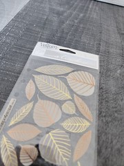 Sticko Stickers – Vellum Leaves Brown & Orange Scrapbooking RETIRED NEW #28