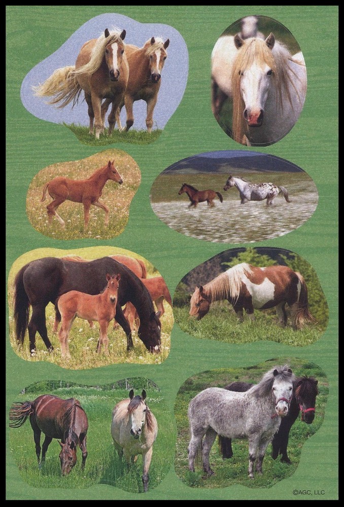 Stickers – Horse – Any Occasion CL118
