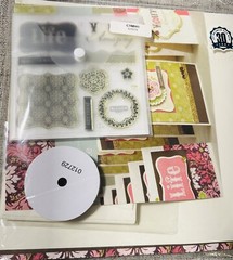 CTMH Scrapbooking & Other – Tombow-Paper-Embellishments-Tools-Ivy Lane Kit