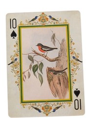 Vintage Bird Illustrations John James Audubon Junk Journal Scrapbook Crafts SK