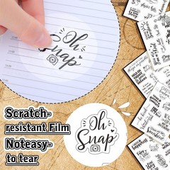 Tudomro 20 Sheets Different Transparent Scrapbook Stickers Vintage Black