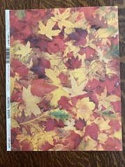FALL Scrapbook Paper, Leaf Punch Out Die Cuts And Autumn Card-Stock (19pcs)