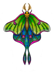 Neon Luna Moth, Waterproof, Vinyl Sticker