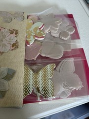 Anna Griffin Parchment Craft Embellishments 216 Die Cuts 32 5×7 Base Cards AG616