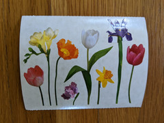 Vintage 1998 Mrs Grossman’s Spring Flowers Stickers Tulip Iris Daffodil II