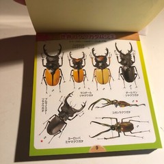 Beetle and Stag Beetle Japanese Stickers book 275 Stickers Shogakkan Neo