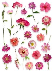 VINYL PRESSED FLOWER PHOTO STICKERS 7 7/8″X 5.75″ SHEET #1-P Pink