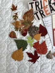 130+ pcs Autumn / Fall Ephemera Variety Pack Destash Junk Journals Mixed Media
