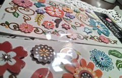2 pkgs -Special Moments/flora theme Flora Dimensional Stickers