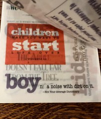 BOY Vellum Quotes & Sayings • 24 Sheets Over 75 Phrases• K&Company Hopscotch NEW