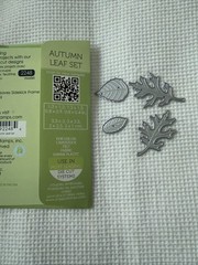 Poppy Stamp Cut Dies Bundle With 8 Fall Autumn Leaves Themed