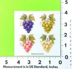 Colorful Grapes Sticker Sheet Purple White Green Pink