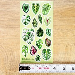 Stickii – Monstera Leaf Stickers – Plant Leaves Sticker Sheet – Crafts Planners