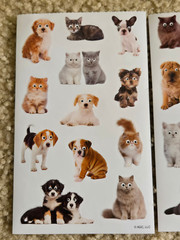 20Pcs Meme Dog Cat Stickers Funny Cat Teens Kids Laptop Google Eyes