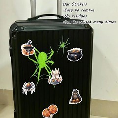 100 Pcs Black Cat and Witch Stickers, Horrible Pumpkin Stickers Wansheng-2