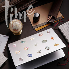 50PCS Sea Shell Stickers Aesthetic PET Transparent Conch Stickers Clamshell Pear