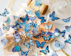 Butterfly Stickers Set (320 Pieces) Transparent Colorful Butterflies Resin Stick