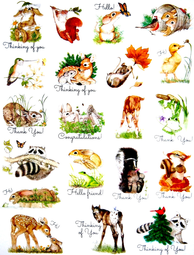 BABY ANIMAL STICKERS 8″X10″ Full Sheet #32 RACCOON DEER BUNNY SQUIRREL HORSE