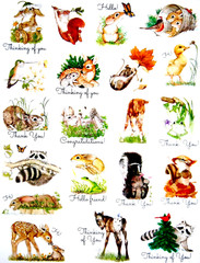 BABY ANIMAL STICKERS 8″X10″ Full Sheet #32 RACCOON DEER BUNNY SQUIRREL HORSE