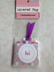 2 PC COLORBOK 3D STICKER LAYERED TAG PURPLE POLKA DOT TAG ‘HI’ ‘THINKING OF YOU’