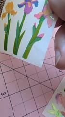 Vintage Sandylion Stickers Mother Of Pearl Iris Flowers 1 Module