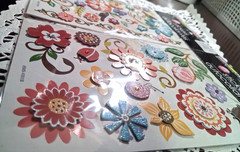 2 pkgs -Special Moments/flora theme Flora Dimensional Stickers