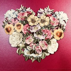 Anna Griffin’s Latest Bday Celebrations 3D Stickers 36 PCS of Flowers & Layers