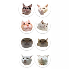 100Pcs/500Pcs Cartoon Meme Cat Stickers for School Reward Stickers Classroom Dec
